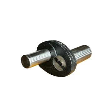 naumann-z-csap