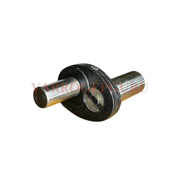 naumann-z-csap